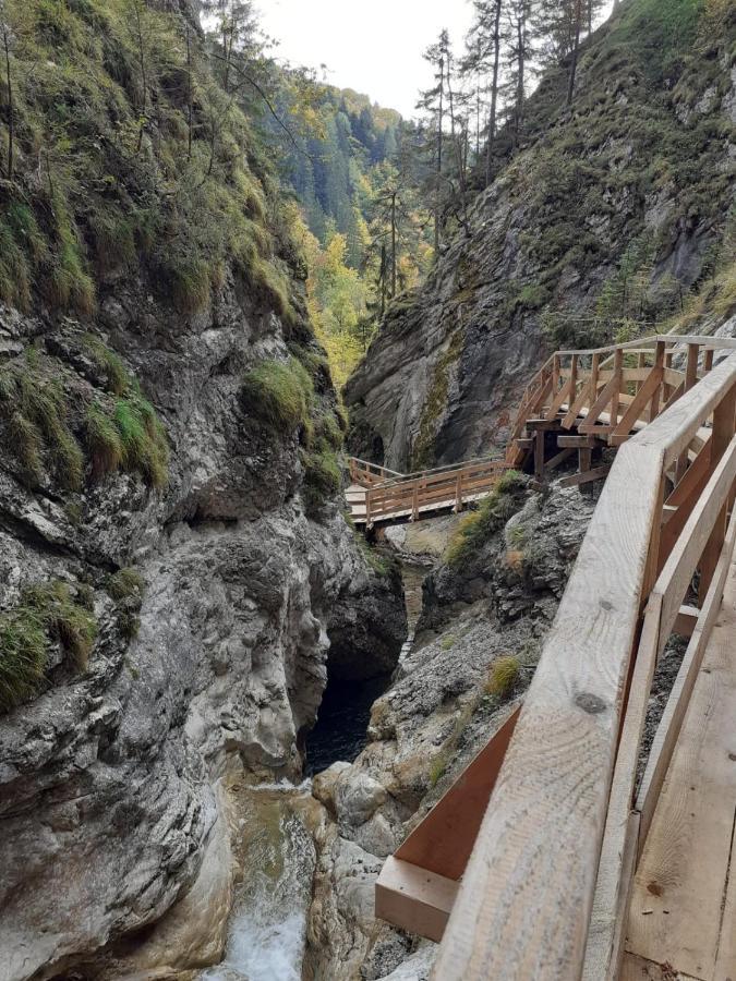 Steinerhaus Berggasthof Grobming Εξωτερικό φωτογραφία