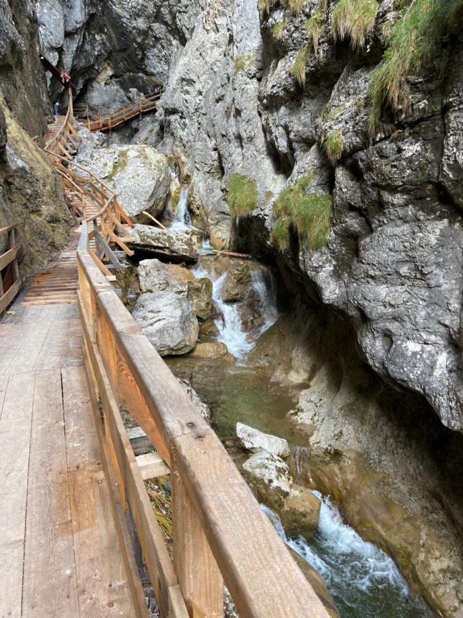 Steinerhaus Berggasthof Grobming Εξωτερικό φωτογραφία